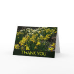 Yellow and White Daffodils Spring Flowers Thank You Card