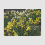 Yellow and White Daffodils Spring Flowers Tissue Paper