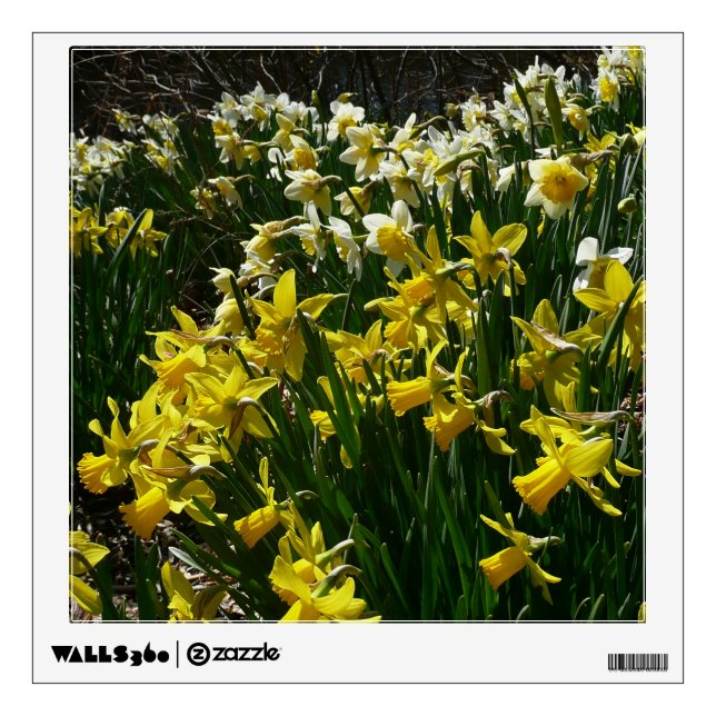 Yellow and White Daffodils Spring Flowers Wall Decal (Front)