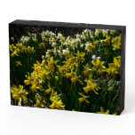 Yellow and White Daffodils Spring Flowers Wooden Box Sign