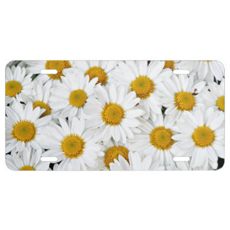 Yellow and white daisies license plate