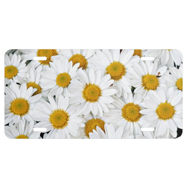 Yellow and white daisies license plate (Front)