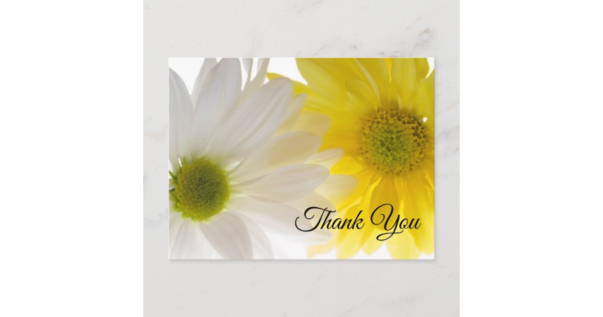Yellow and White Daisies Thank You Postcard | Zazzle