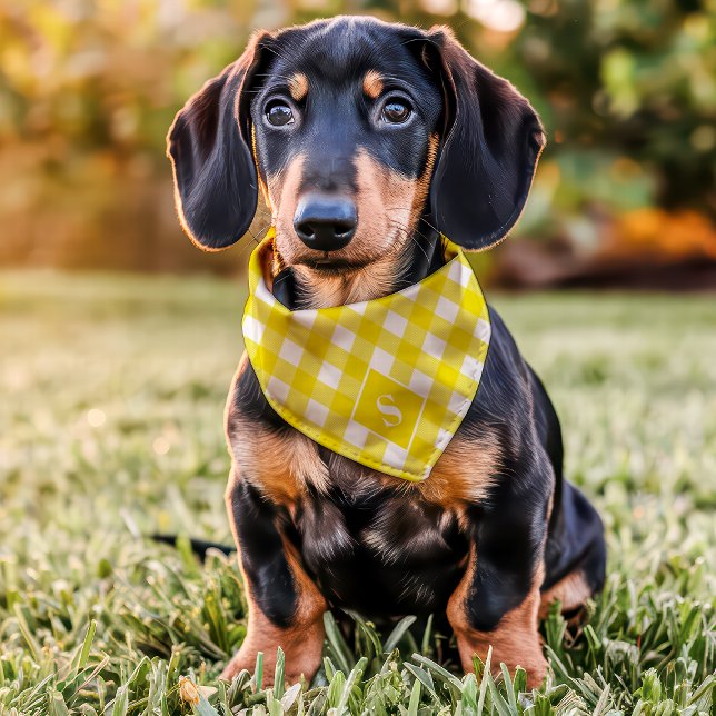 Yellow And White Diagonal Buffalo Plaid Monogram Pet Bandana Collar (Creator Uploaded)