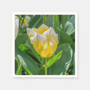 Yellow and white tulip paper napkins