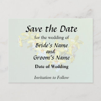 Yellow and White Vuylstekeara Orchids Heart Announcement Postcard