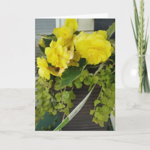 Yellow Angel Wing Begonias Thinking Of You Card