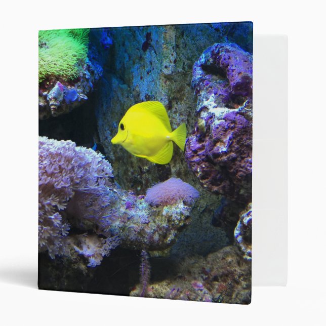 Yellow Angelfish 3 Ring Binder (Front/Inside)