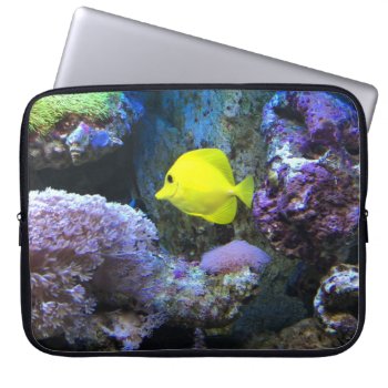 Yellow Angelfish Laptop Sleeve by beachcafe at Zazzle