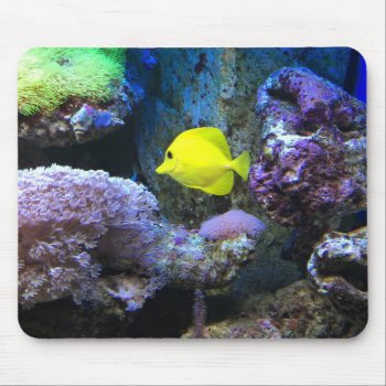 Yellow Angelfish Mouse Pad by beachcafe at Zazzle
