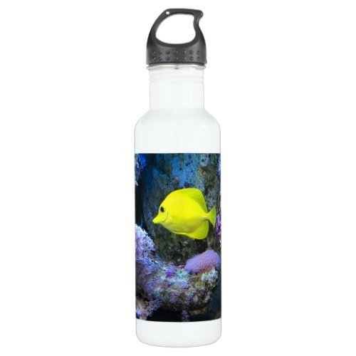 Yellow Angelfish Stainless Steel Water Bottle