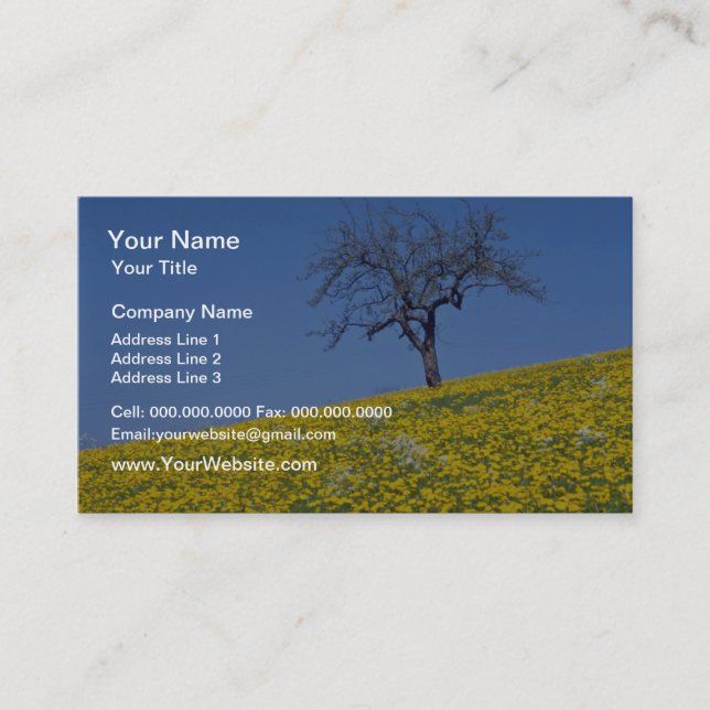 yellow Apple tree and dandelion meadow flowers Business Card (Front)