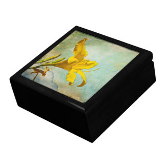 Yellow Asiatic Lily - Decorative Box