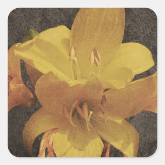 Yellow Asiatic lily on old grunged canvas backgrou Square Sticker