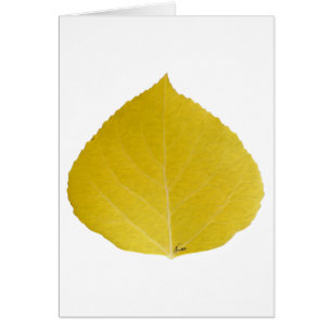 Yellow Aspen Leaf #5