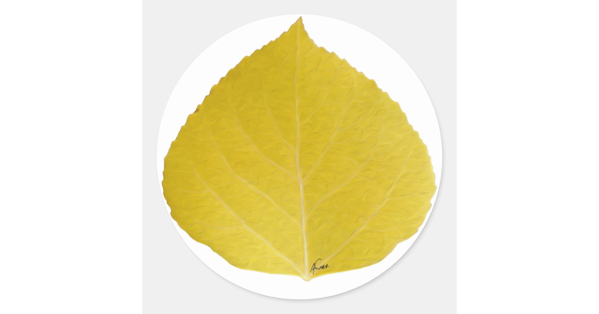 Yellow Aspen Leaf 5 Classic Round Sticker Zazzle Com