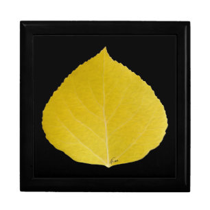 Yellow Aspen Leaf #5 Gift Box