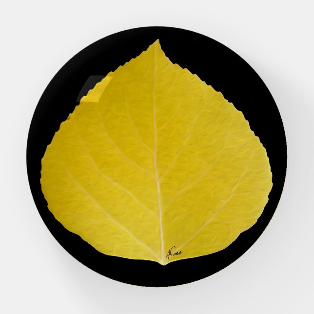 Yellow Aspen Leaf #5 Paperweight (Front)