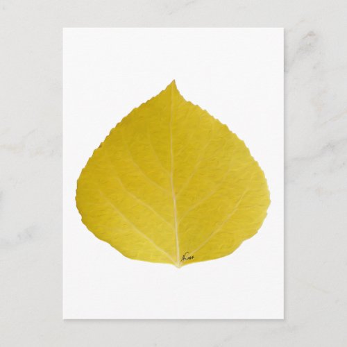 Yellow Aspen Leaf 5 Postcard