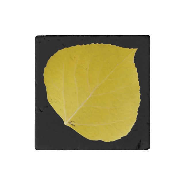 Yellow Aspen Leaf #5 Stone Magnet (Front)