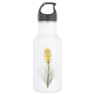 yellow asphodel(Asphodelus luteus) by Redouté Stainless Steel Water Bottle