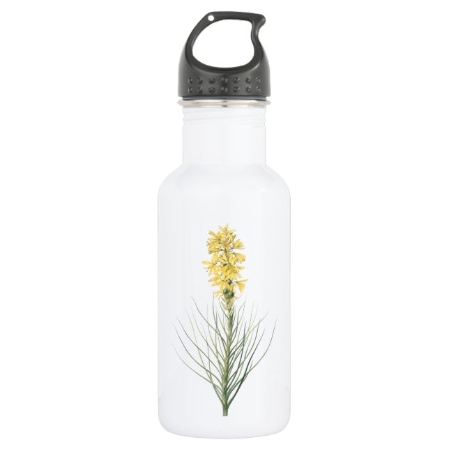 yellow asphodel(Asphodelus luteus) by Redouté Stainless Steel Water Bottle (Front)