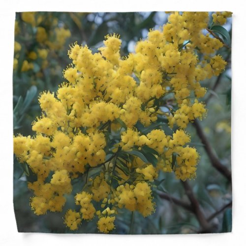 Yellow Australian Wattle Tree Bandana