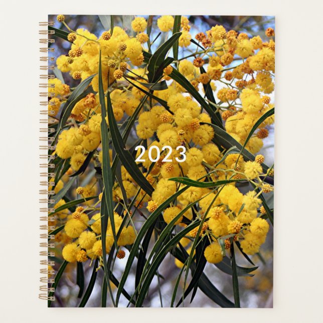 Yellow Australian wattle tree blossoms  Planner (Front)
