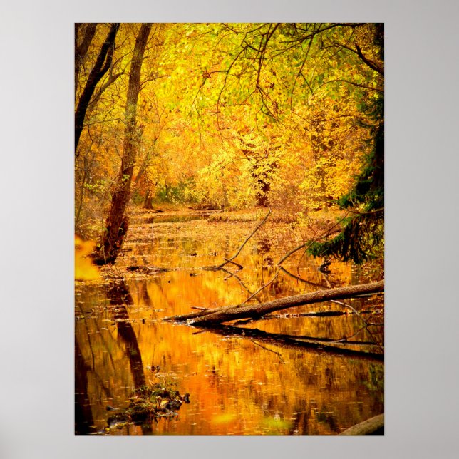 Yellow Autumn Forest Print Poster Artwork Mural (Front)