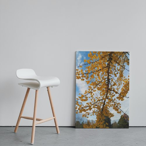 Yellow Autumn Ginkgo Leaves Canvas Print