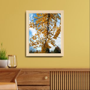 Yellow Autumn Ginkgo Leaves Framed Art