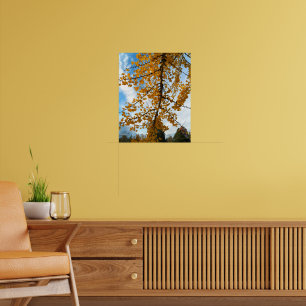 Yellow Autumn Ginkgo Leaves Poster