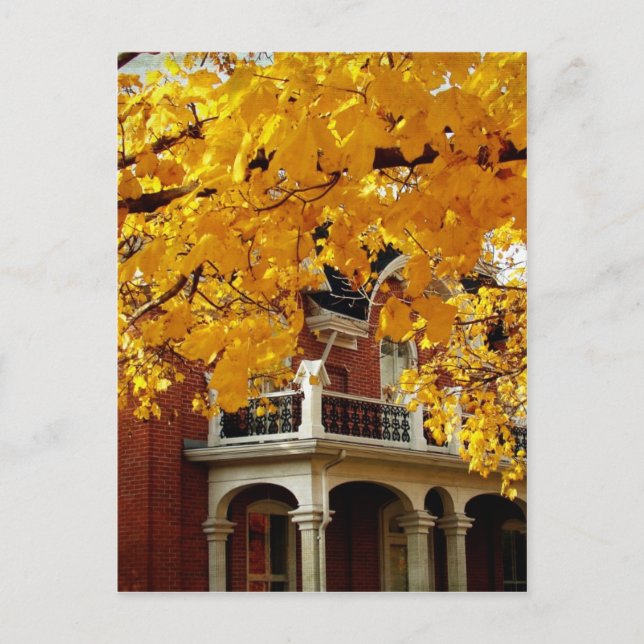 Yellow Autumn Leaves and Old Brick House Postcard (Front)