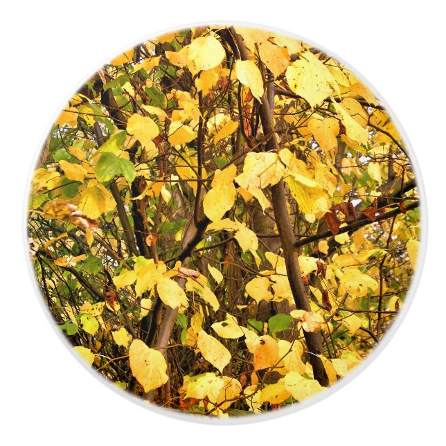 YELLOW AUTUMN LEAVES CERAMIC KNOB (Front)