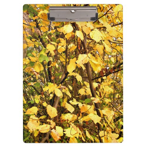 YELLOW AUTUMN LEAVES CLIPBOARD