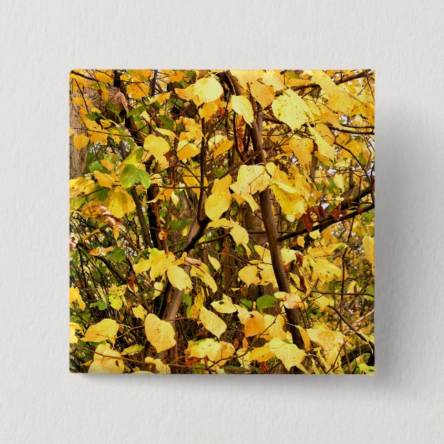 YELLOW AUTUMN LEAVES PINBACK BUTTON (Front)