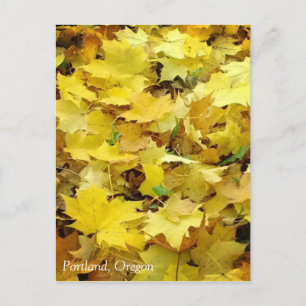 Yellow Autumn Leaves Postcard