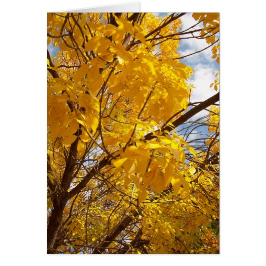 Yellow Autumn Majesty Cards (Front)