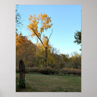 Yellow Autumn Tree Poster