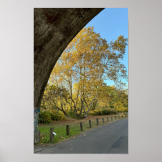 Yellow Autumn Trees Poster
