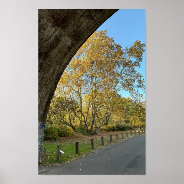 Yellow Autumn Trees Poster (Front)