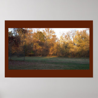 Yellow Autumn Trees Poster