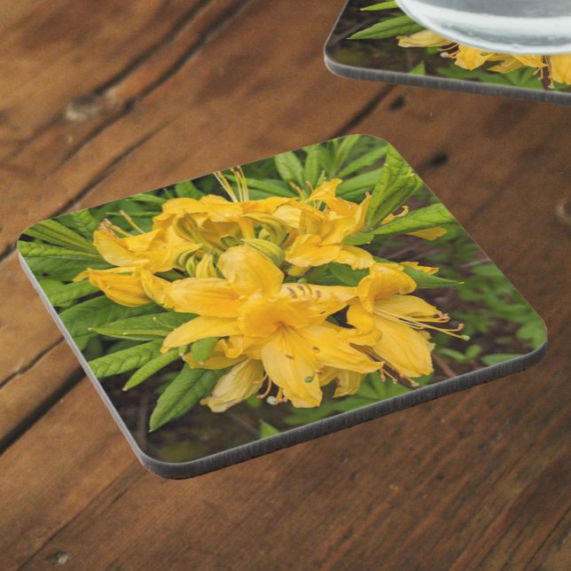 Yellow Azalea Blooms Floral Beverage Coaster (In Situ)