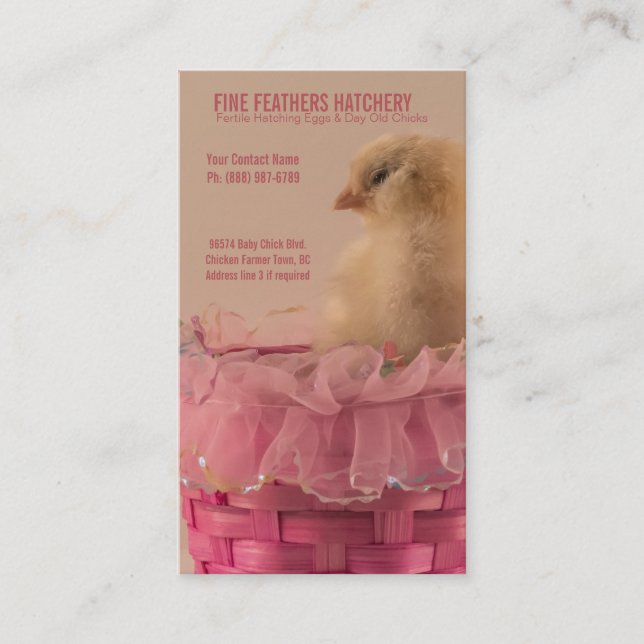 Yellow Baby Chick in Pink Ruffle Basket Hatchery Business Card (Front)