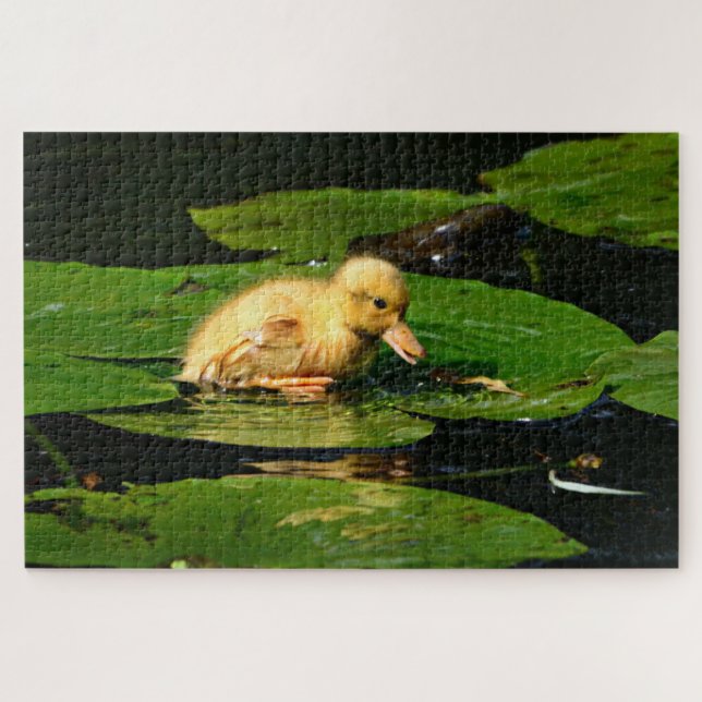 Yellow Baby Duck Floating on Lily Pads Jigsaw Puzzle (Horizontal)
