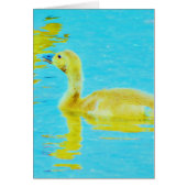 Yellow Baby goose with light blue water (Front)