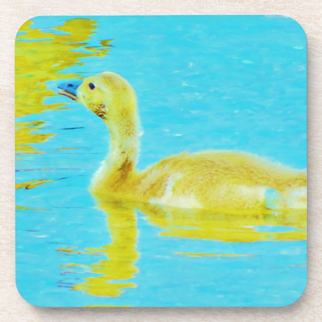 Yellow Baby goose with light blue water Drink Coaster (Front)