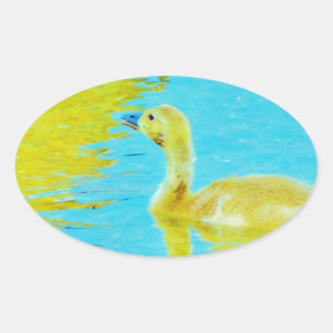 Yellow Baby goose with light blue water Oval Sticker
