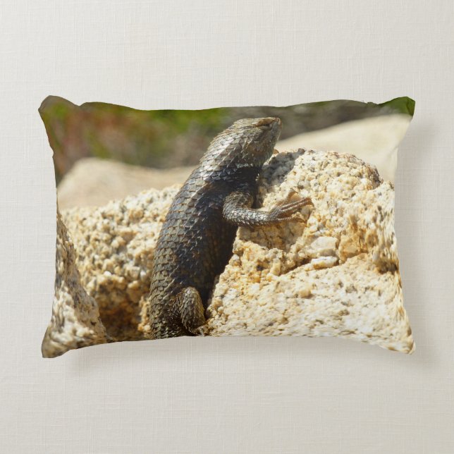 Yellow-Backed Spiny Lizard at Joshua Tree Accent Pillow (Front)