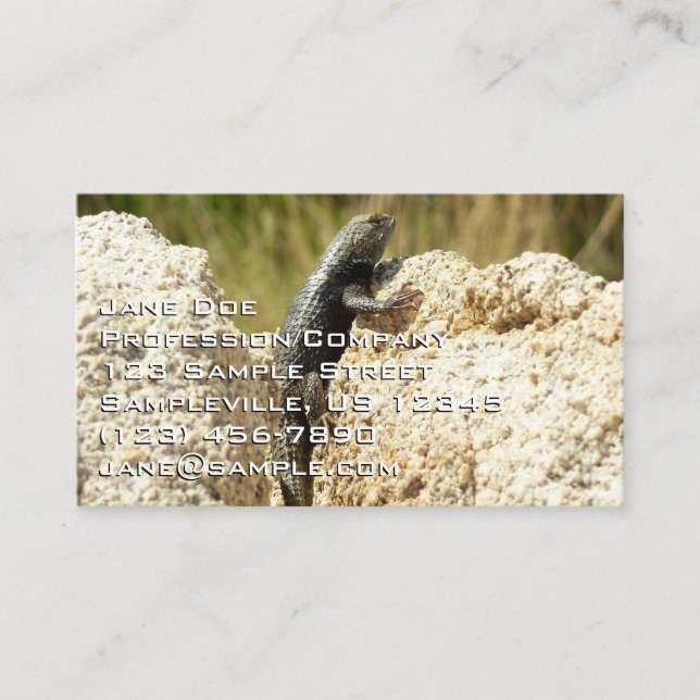 Yellow-Backed Spiny Lizard at Joshua Tree Business Card (Front)